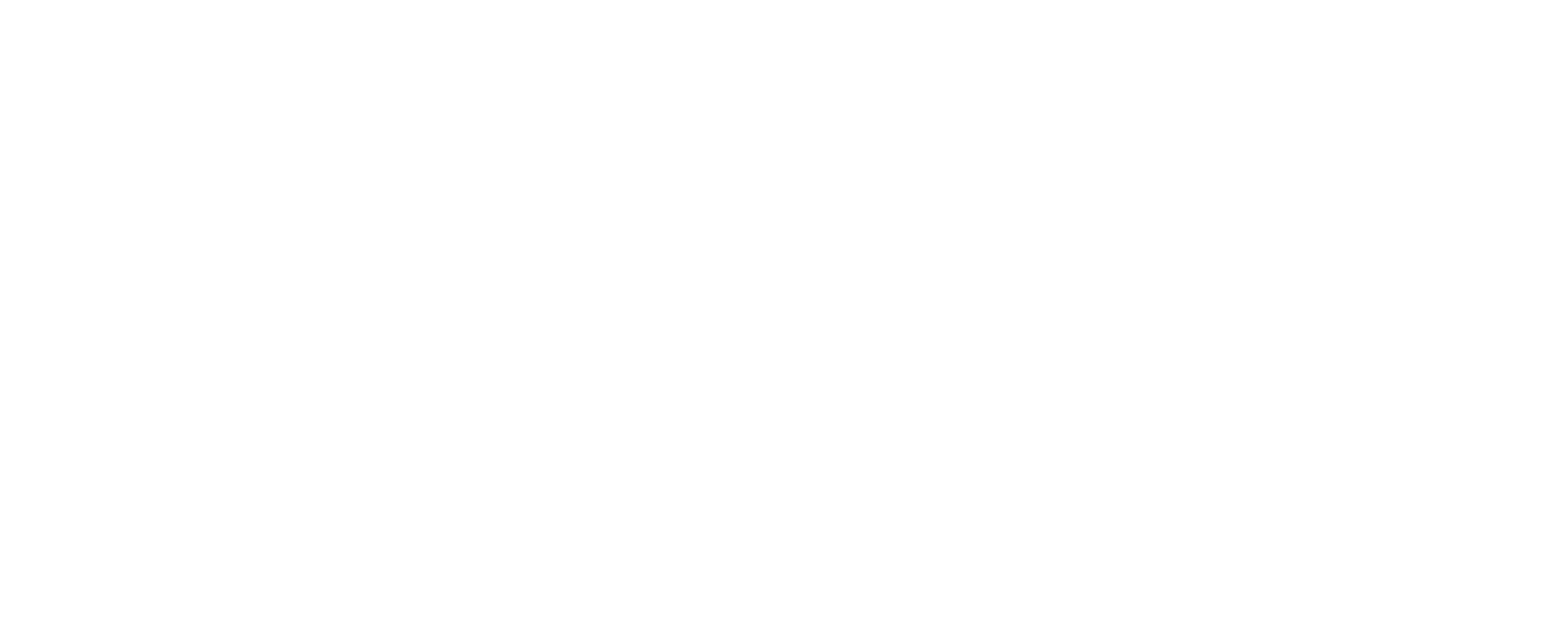 AllBall Pro